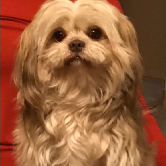 Meet your Posher, V. A. Reyes - Picture 1 of 9